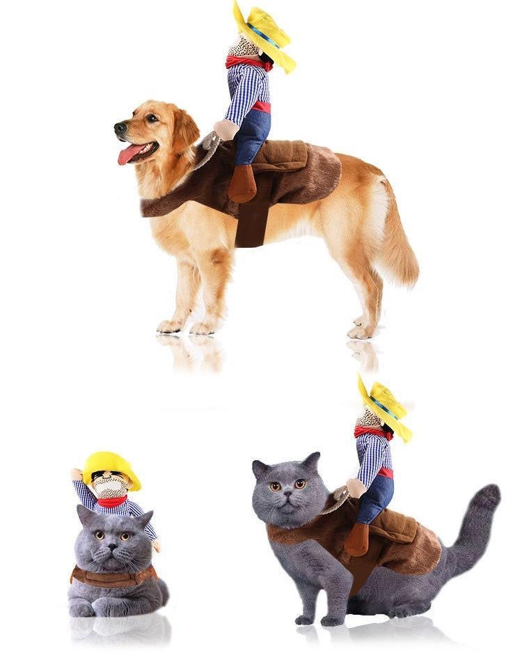 Wild West Whiskers Costume