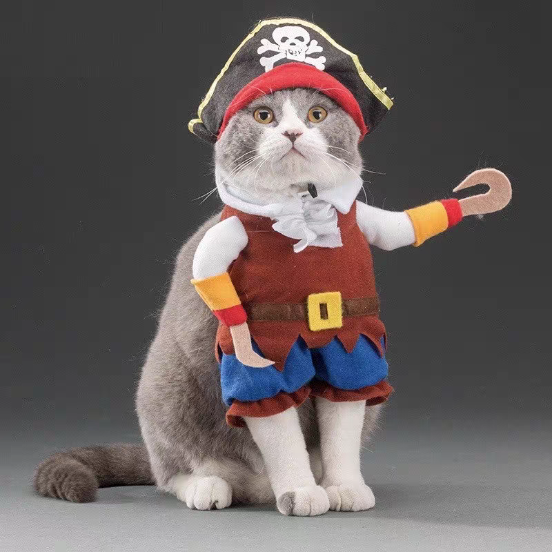 Halloween Pet Costumes - Pirate