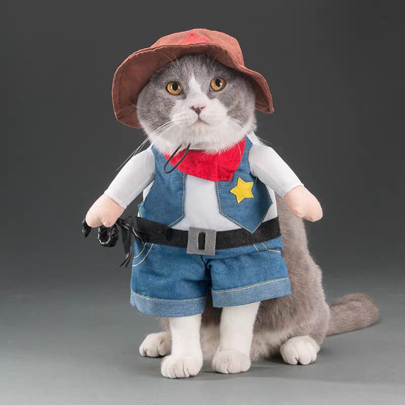 Halloween Pet Costumes - Pirate