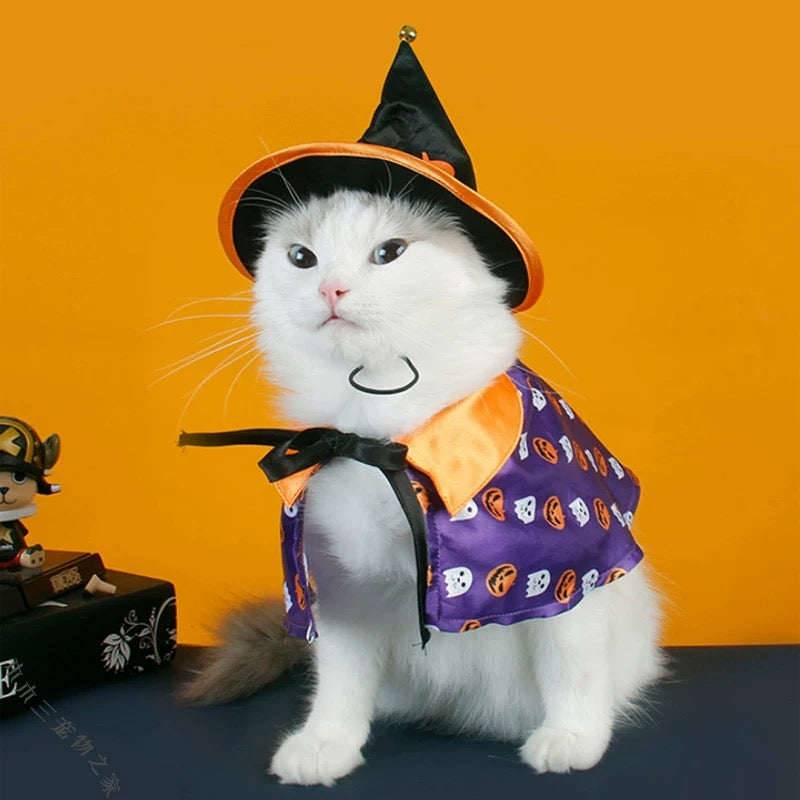 Chibi Mage Enchanted Wizard Pet Costume