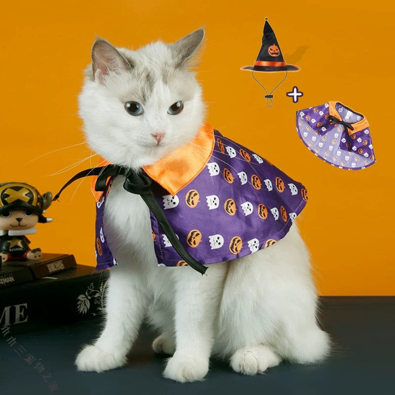 Chibi Mage Enchanted Wizard Pet Costume
