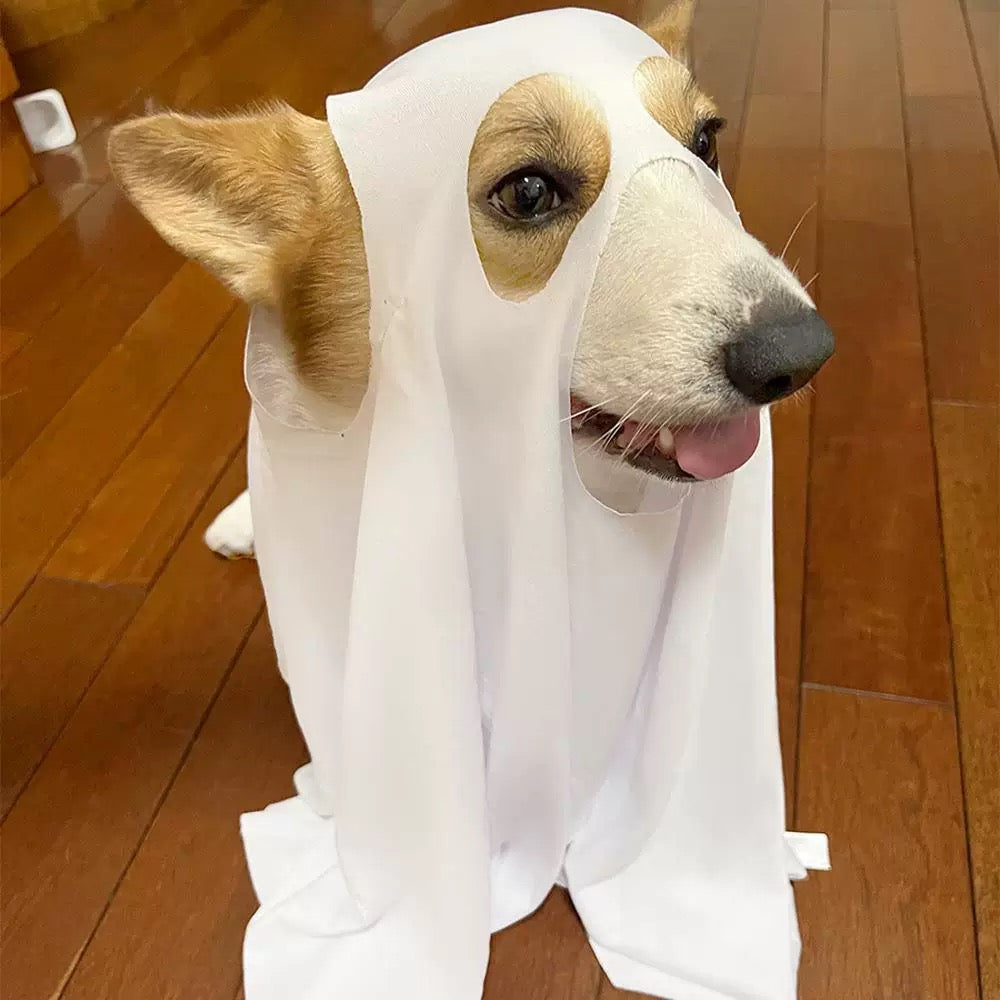 Boo-tiful Ghost Dog Duo Costume