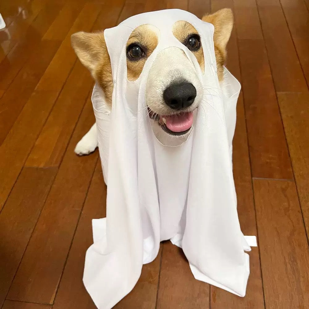 Boo-tiful Ghost Dog Duo Costume