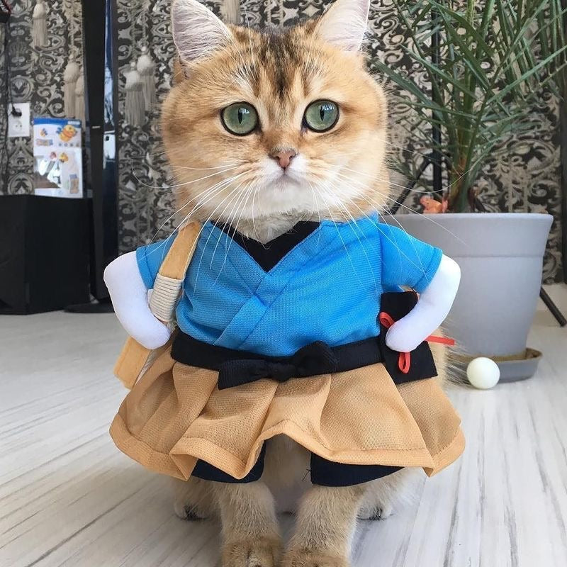 Fairy Tail Feline Costume
