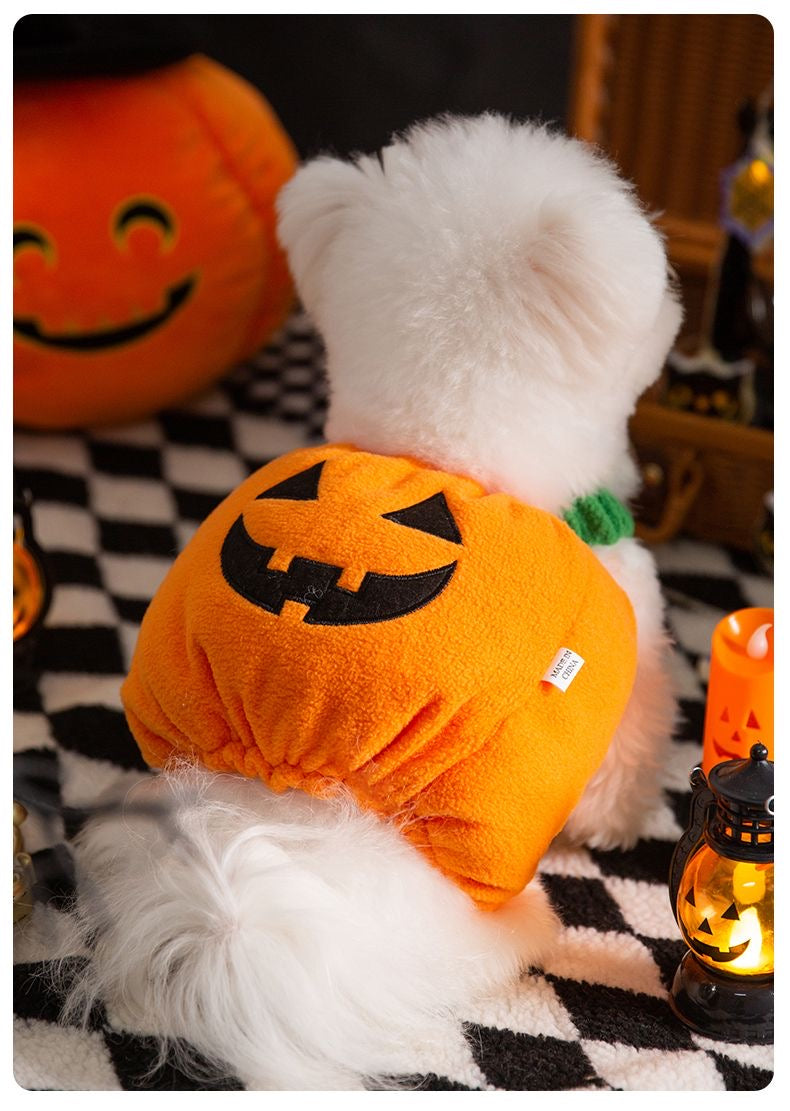 Pumpkin Pooch Pal Costume