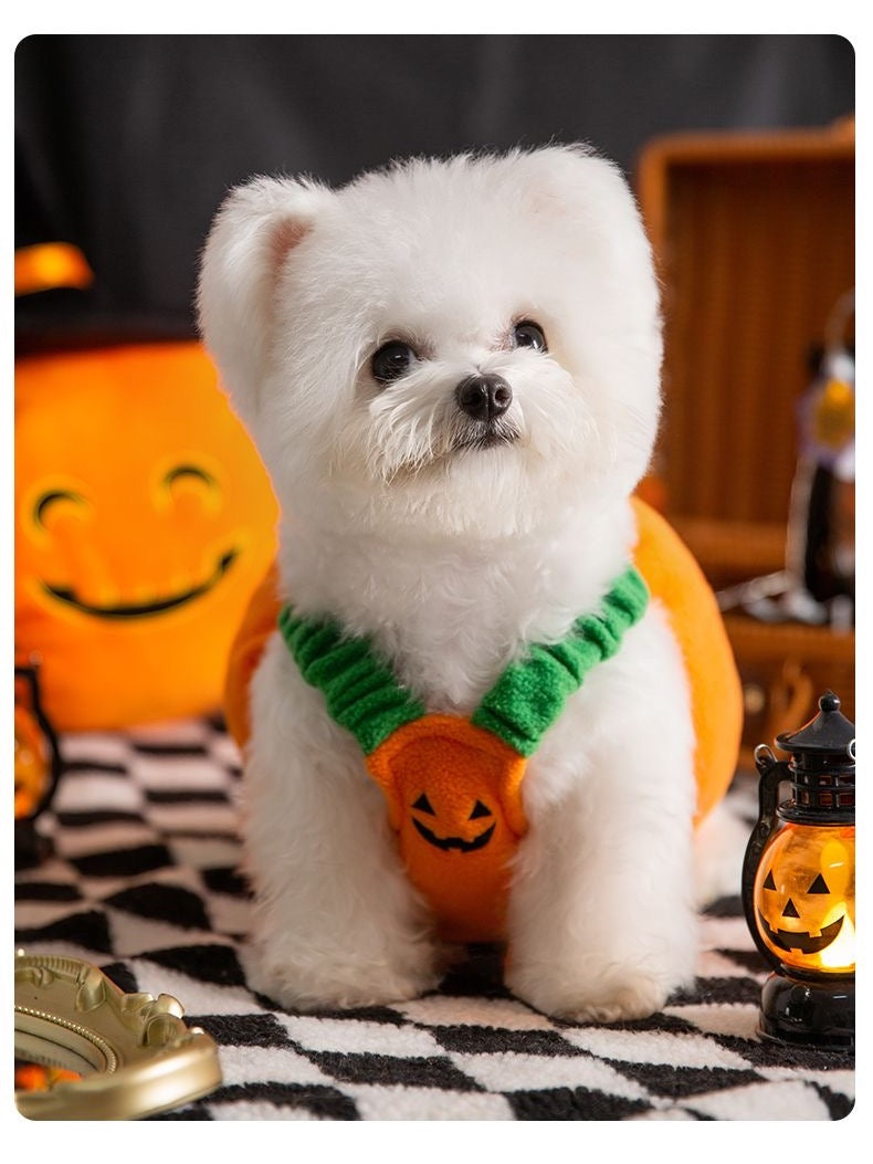 Pumpkin Pooch Pal Costume