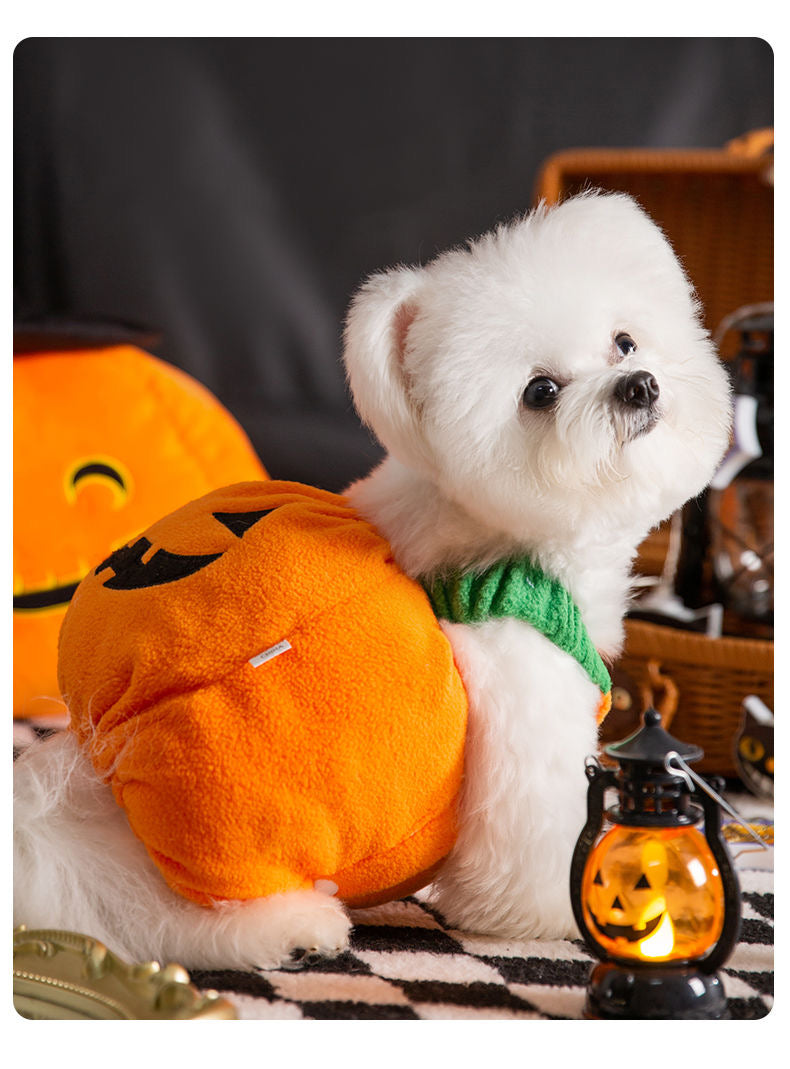 Pumpkin Pooch Pal Costume