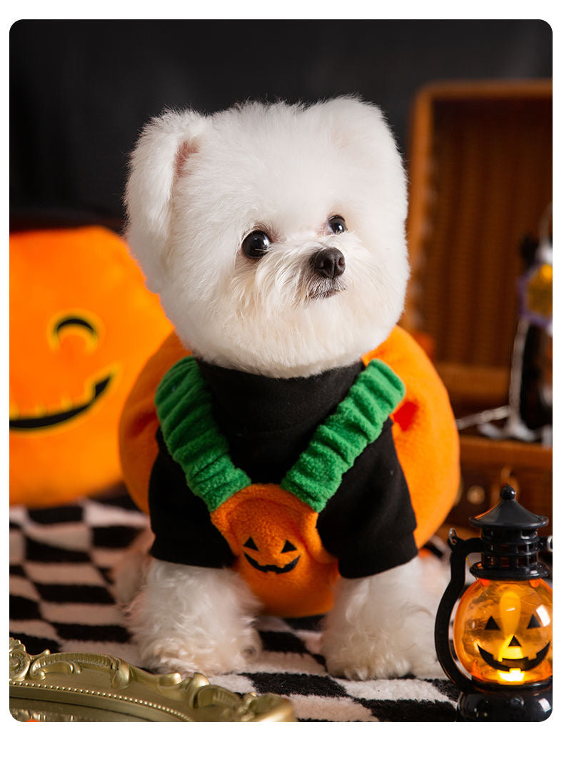 Pumpkin Pooch Pal Costume