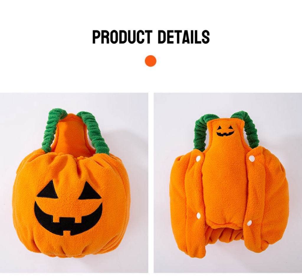 Pumpkin Pooch Pal Costume