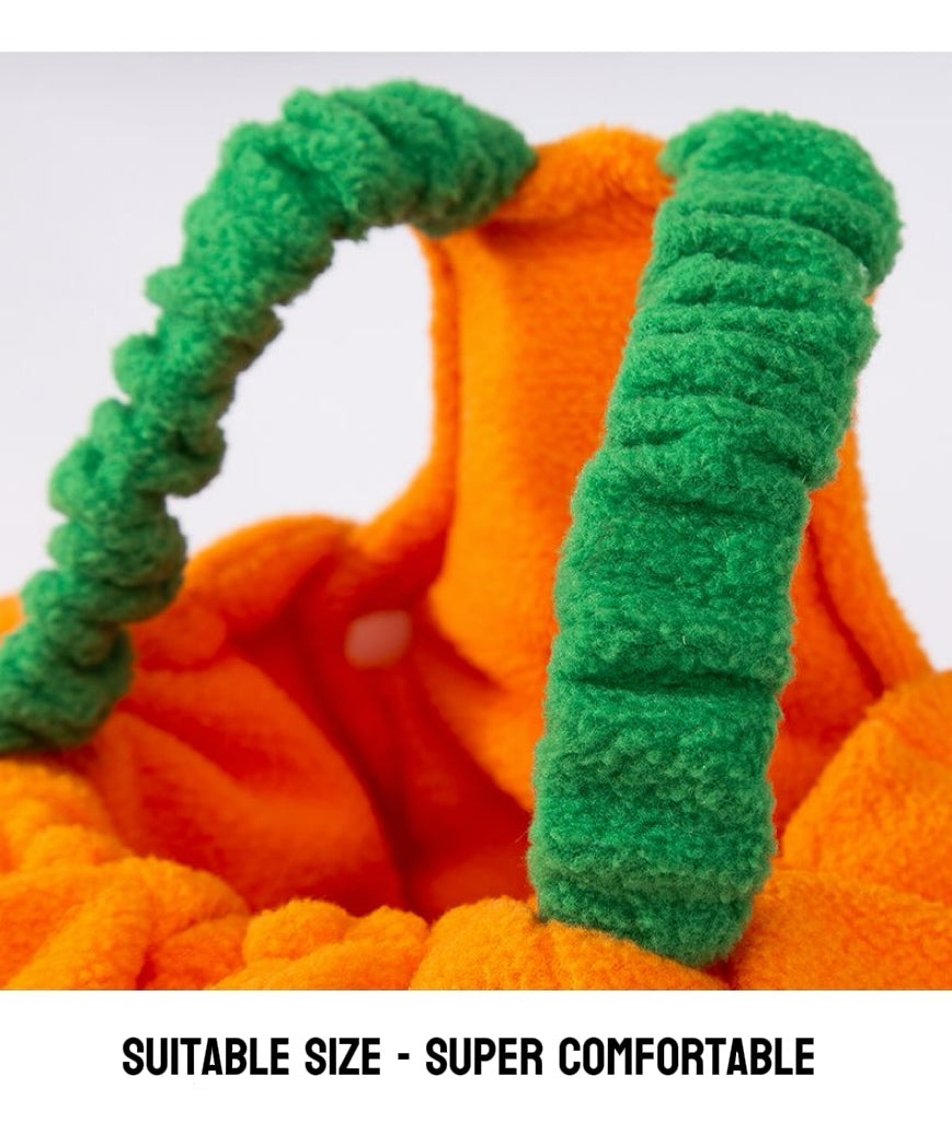 Pumpkin Pooch Pal Costume