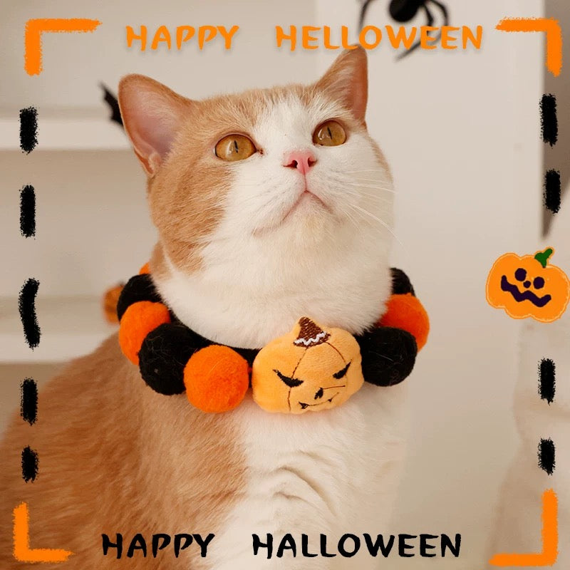 Spooky Halloween Pumpkin Collar