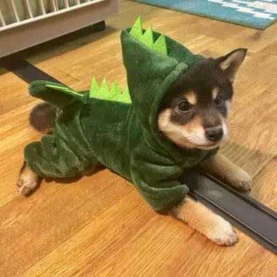 Halloween Pet Costume-Dinosaur