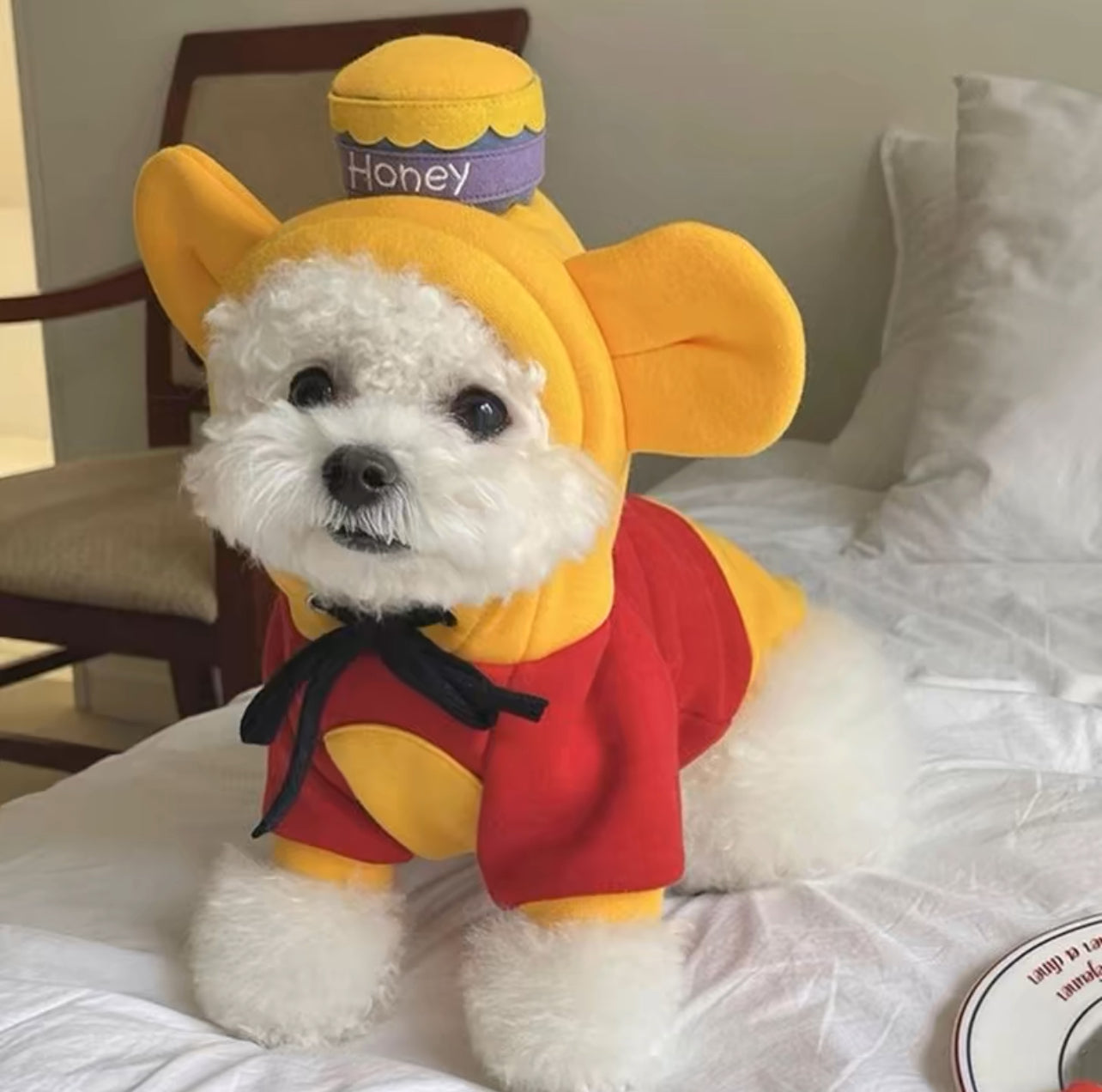 Honey Bear Bee Pup Costume