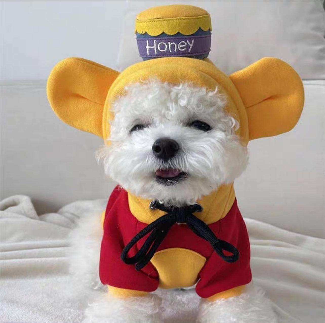 Honey Bear Bee Pup Costume