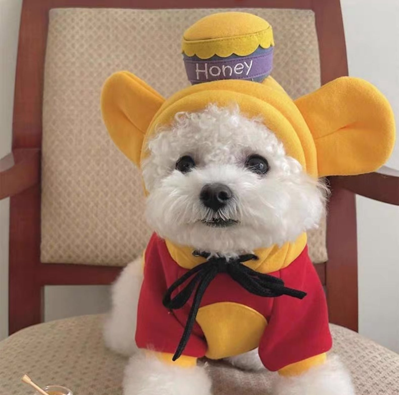 Honey Bear Bee Pup Costume