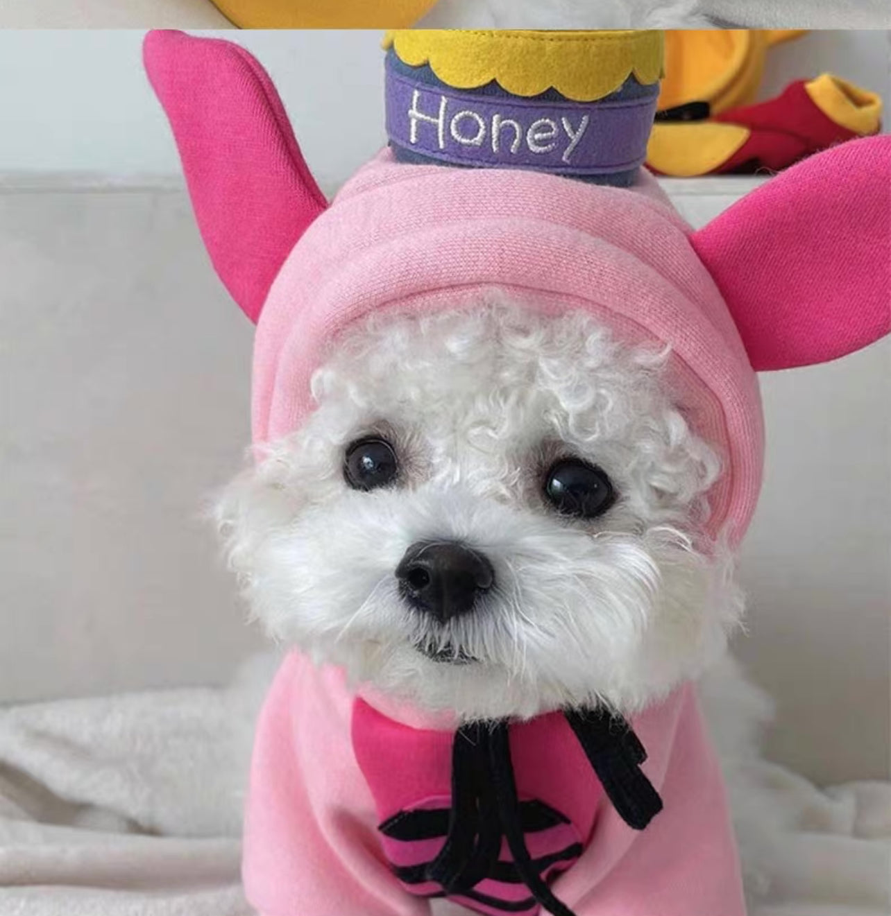 Sweet Pink Piggy Honey Pup Costume.