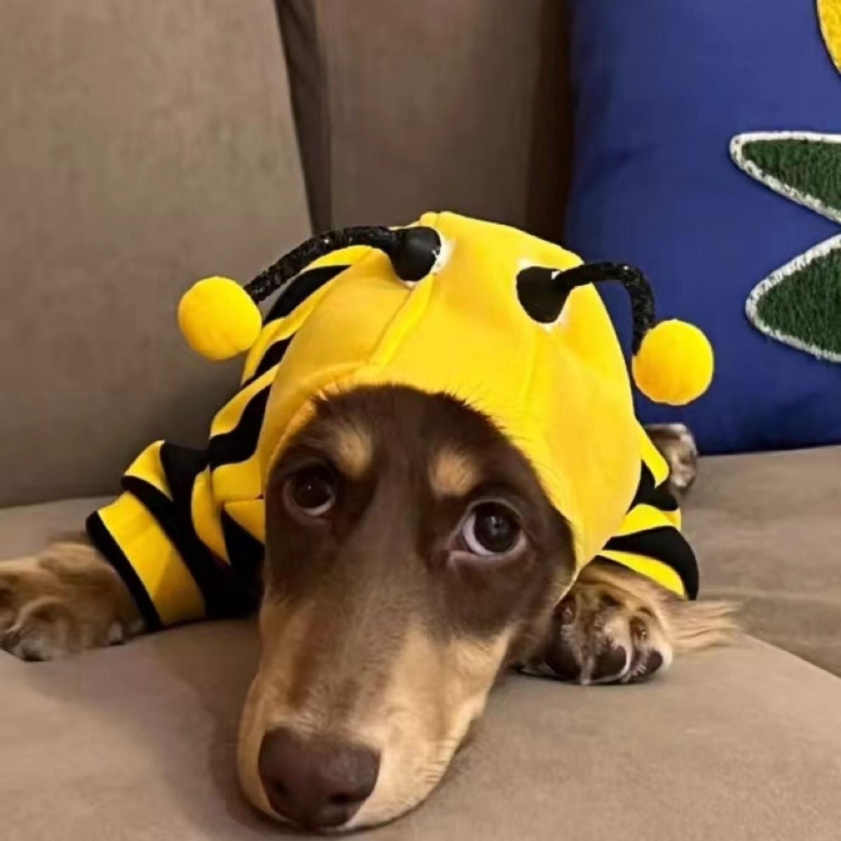 Hooded Bee Costume