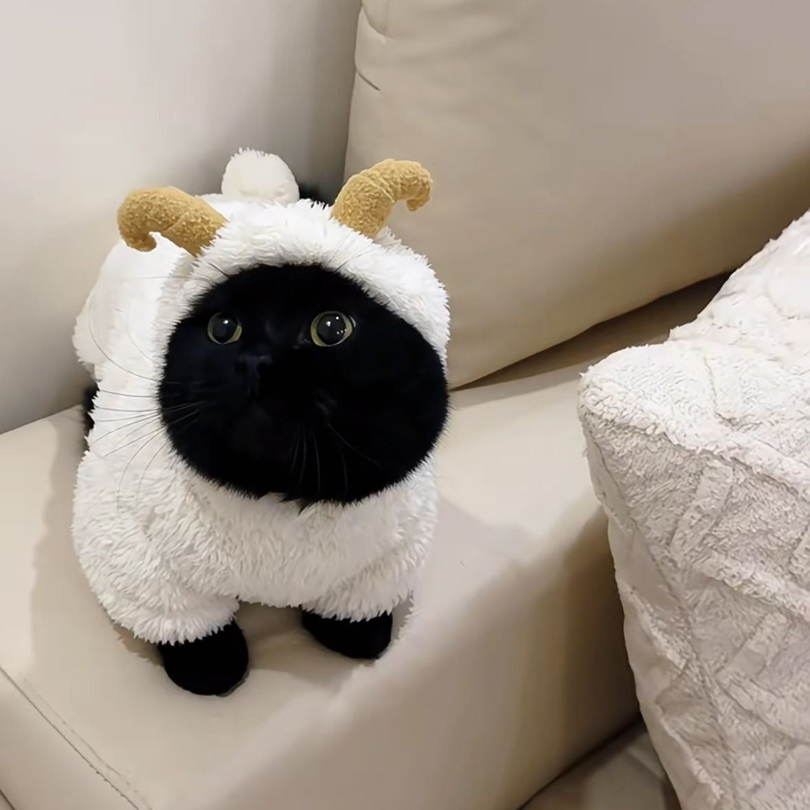 Thickened Cute Sheep Costume