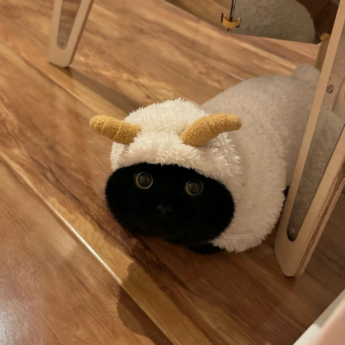 Thickened Cute Sheep Costume