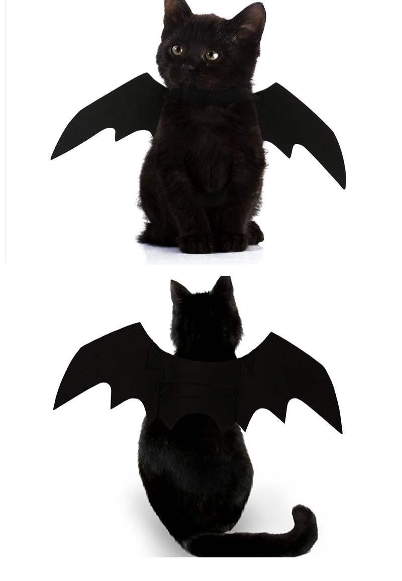 Halloween Toothless Costume Bat Wings