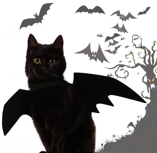 Halloween Toothless Costume Bat Wings