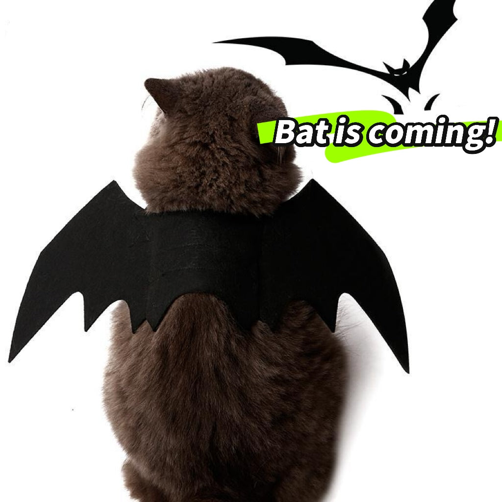 Halloween Toothless Costume Bat Wings