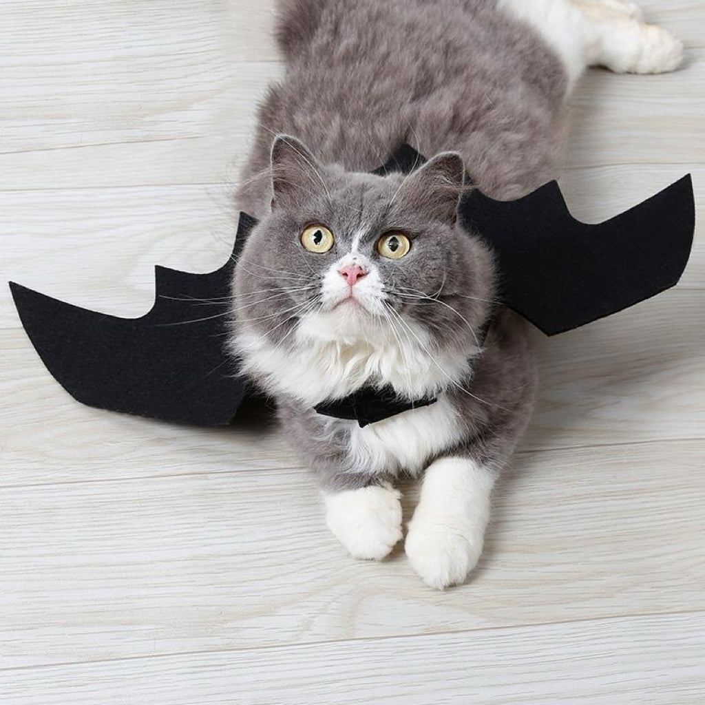 Halloween Toothless Costume Bat Wings