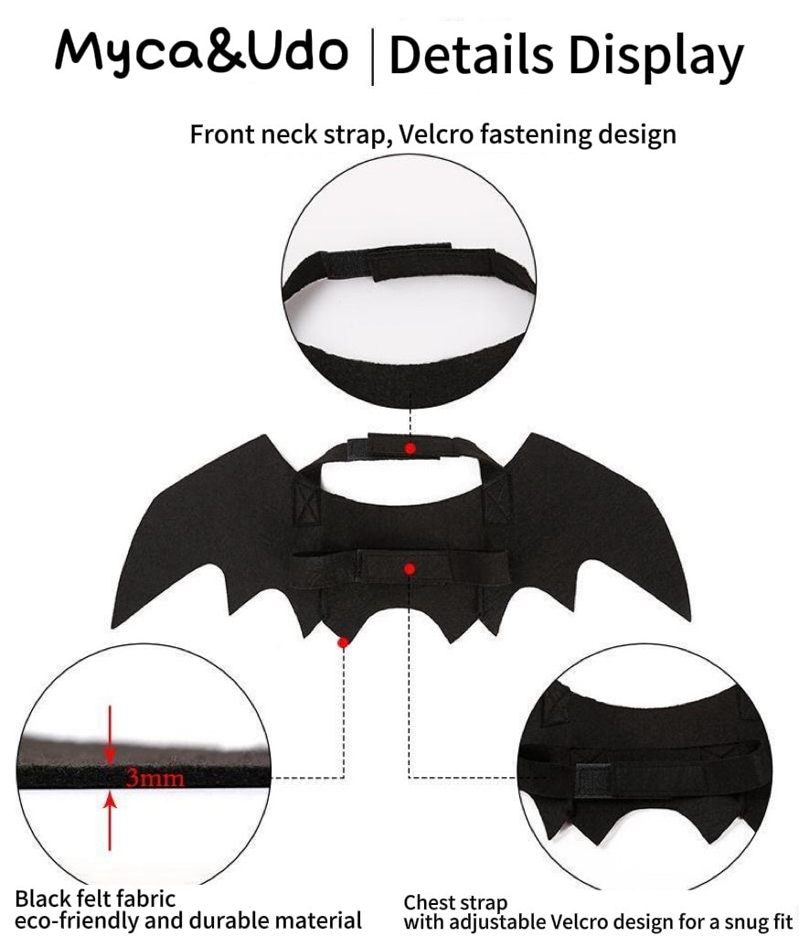 Halloween Toothless Costume Bat Wings