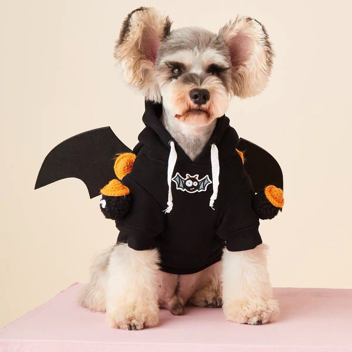 Halloween Pumpkin Bat Hoodie