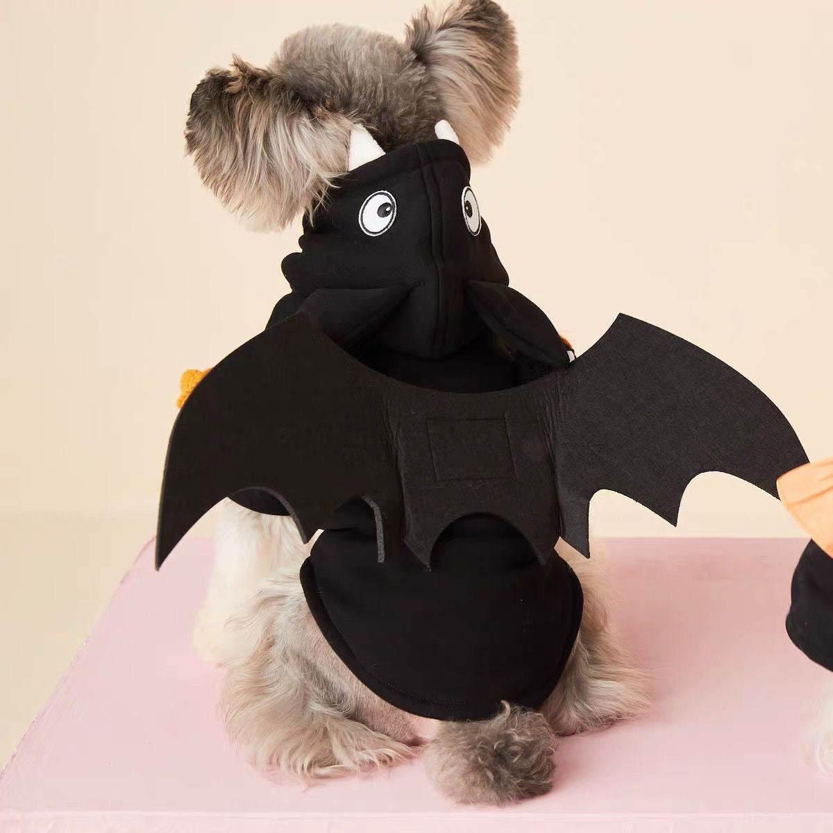 Halloween Pumpkin Bat Hoodie