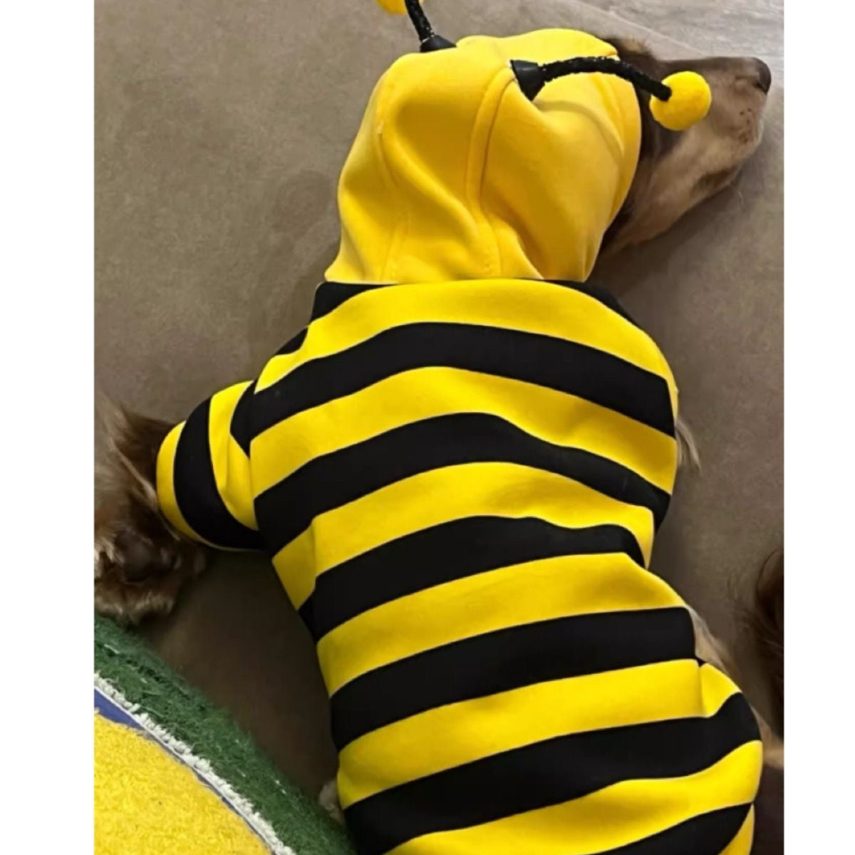 Hooded Bee Costume