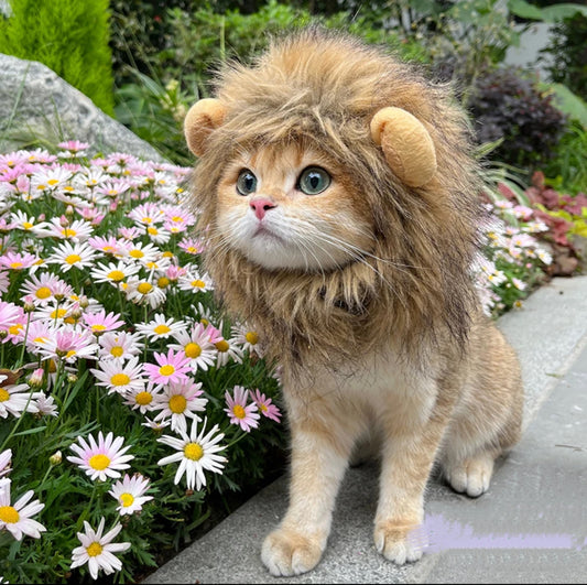 Cat Lion Headgears Decorative Accessories