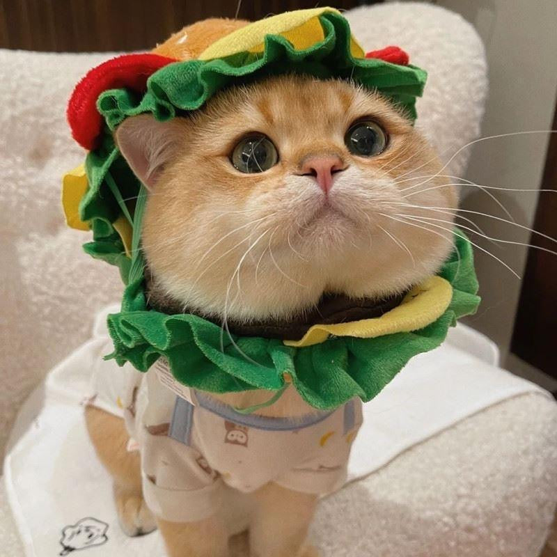 Whisker Burger Delight Pet Costume