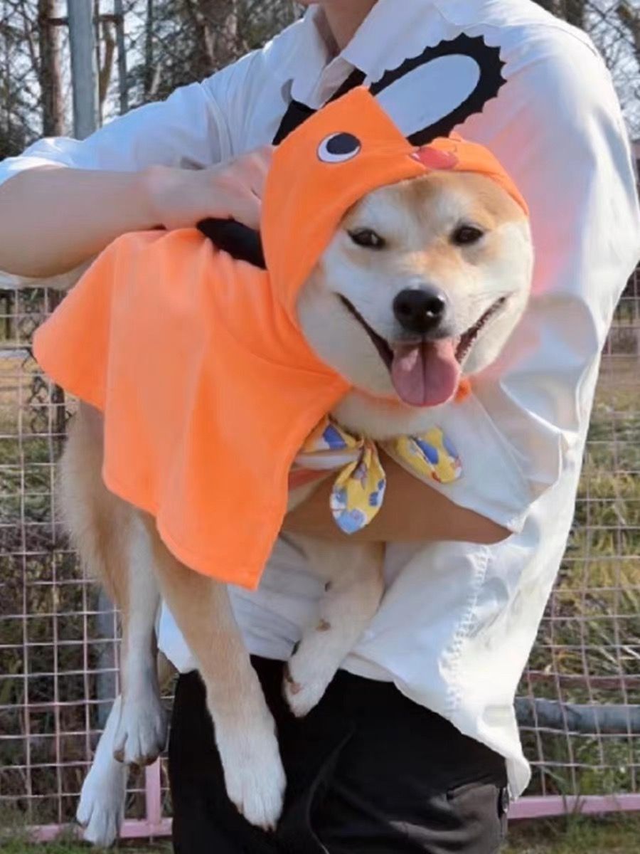 Halloween Pet Costume-Chainsaw Boy