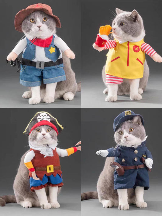 Halloween Pet Costumes - Pirate