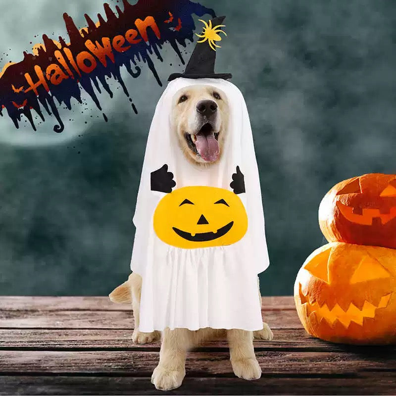 Pumpkin Ghost Wizard Dog Costume