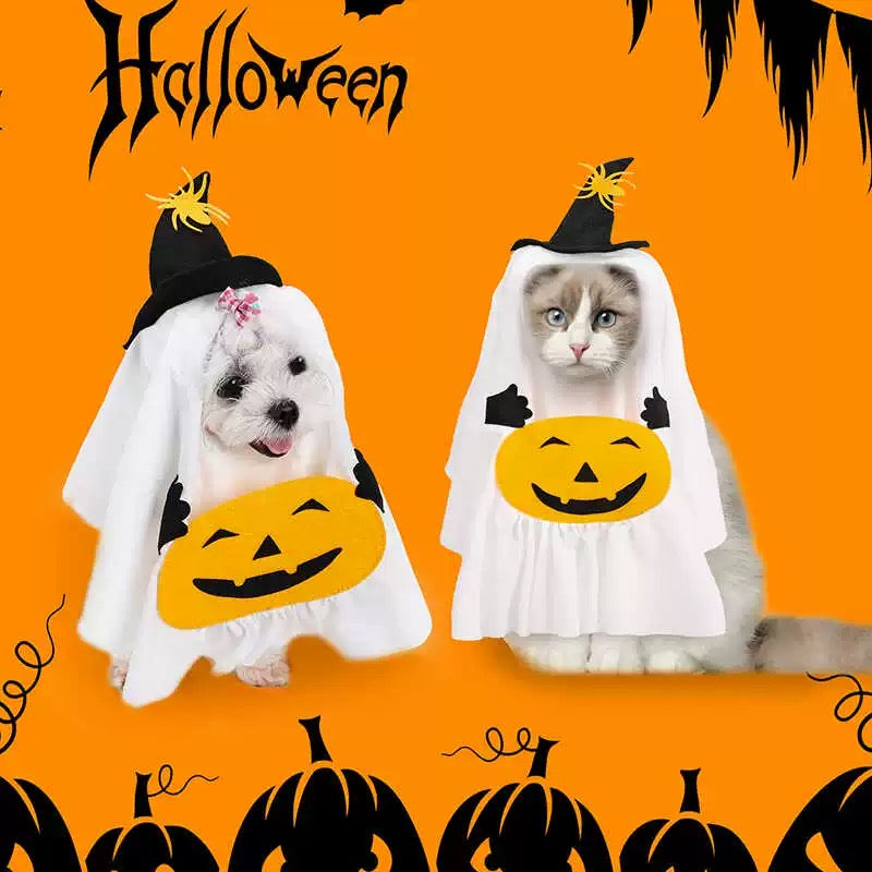 Pumpkin Ghost Wizard Dog Costume