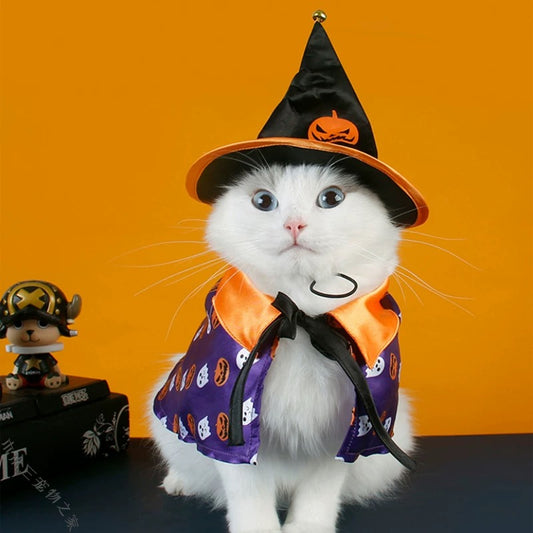 Chibi Mage Enchanted Wizard Pet Costume