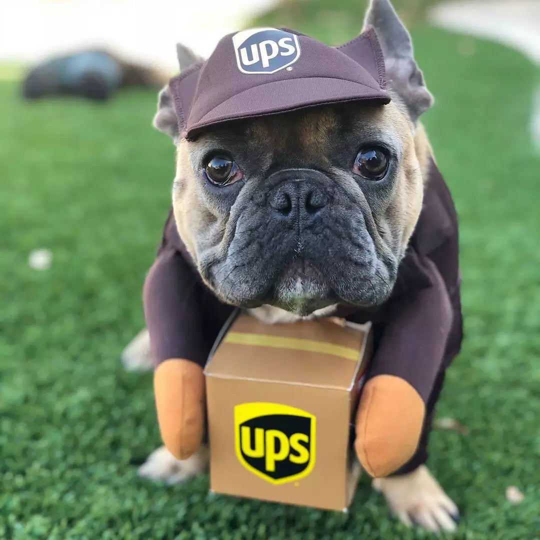 Paw-some Postal Delivery Dog Costume