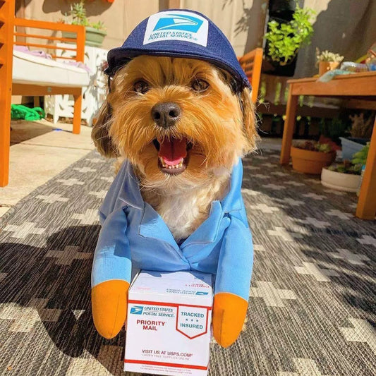 Paw-some Postal Delivery Dog Costume