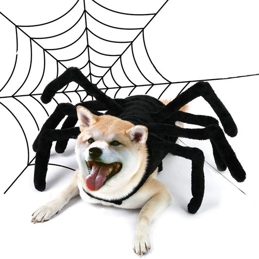 Creepy Crawler Halloween Dog Costume