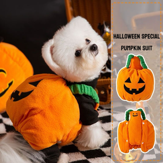 Pumpkin Pooch Pal Costume